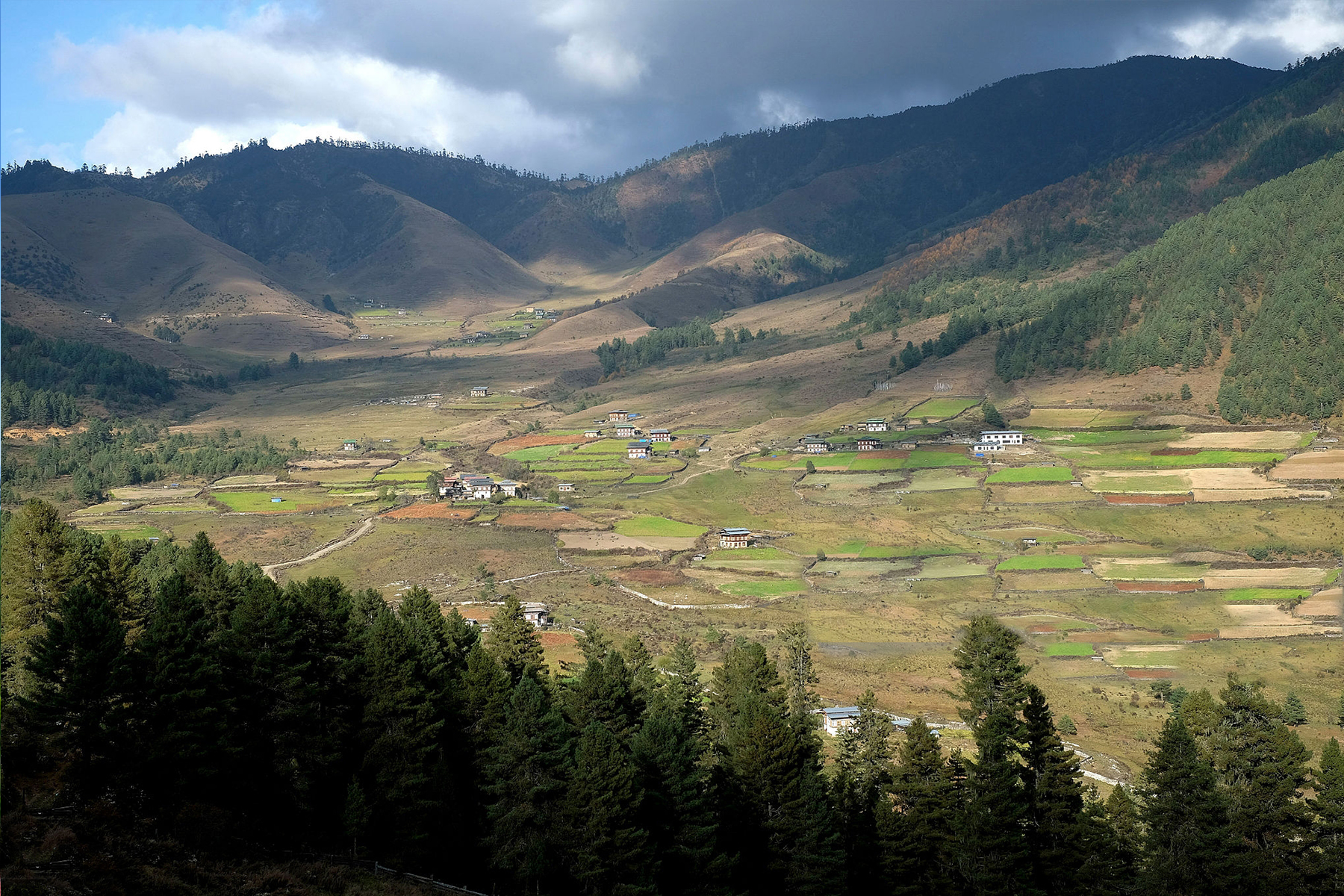 Phobjikha Valley